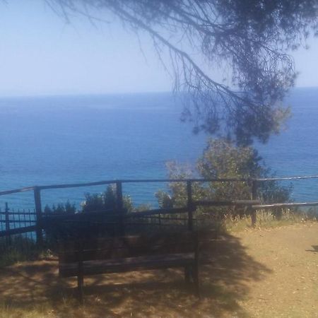 Il Capriolo Bed & Breakfast Celle Ligure Dış mekan fotoğraf