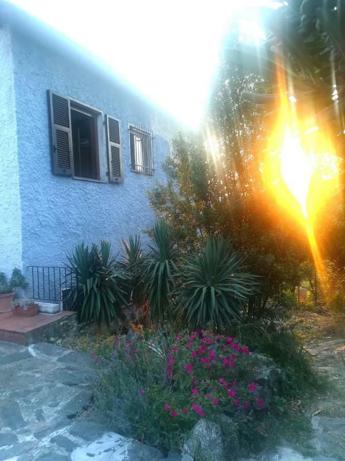 Il Capriolo Bed & Breakfast Celle Ligure Dış mekan fotoğraf